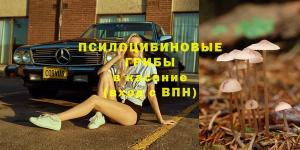 дмт Кукмор