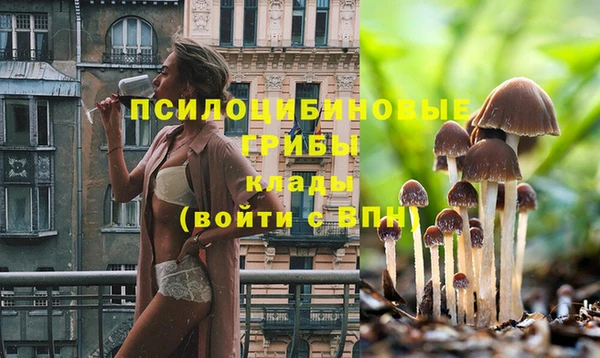 дмт Кукмор