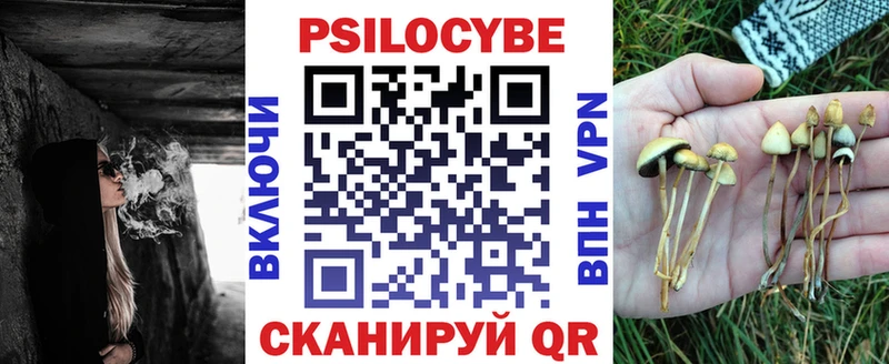 Псилоцибиновые грибы мицелий  купить наркотики сайты  Пласт 